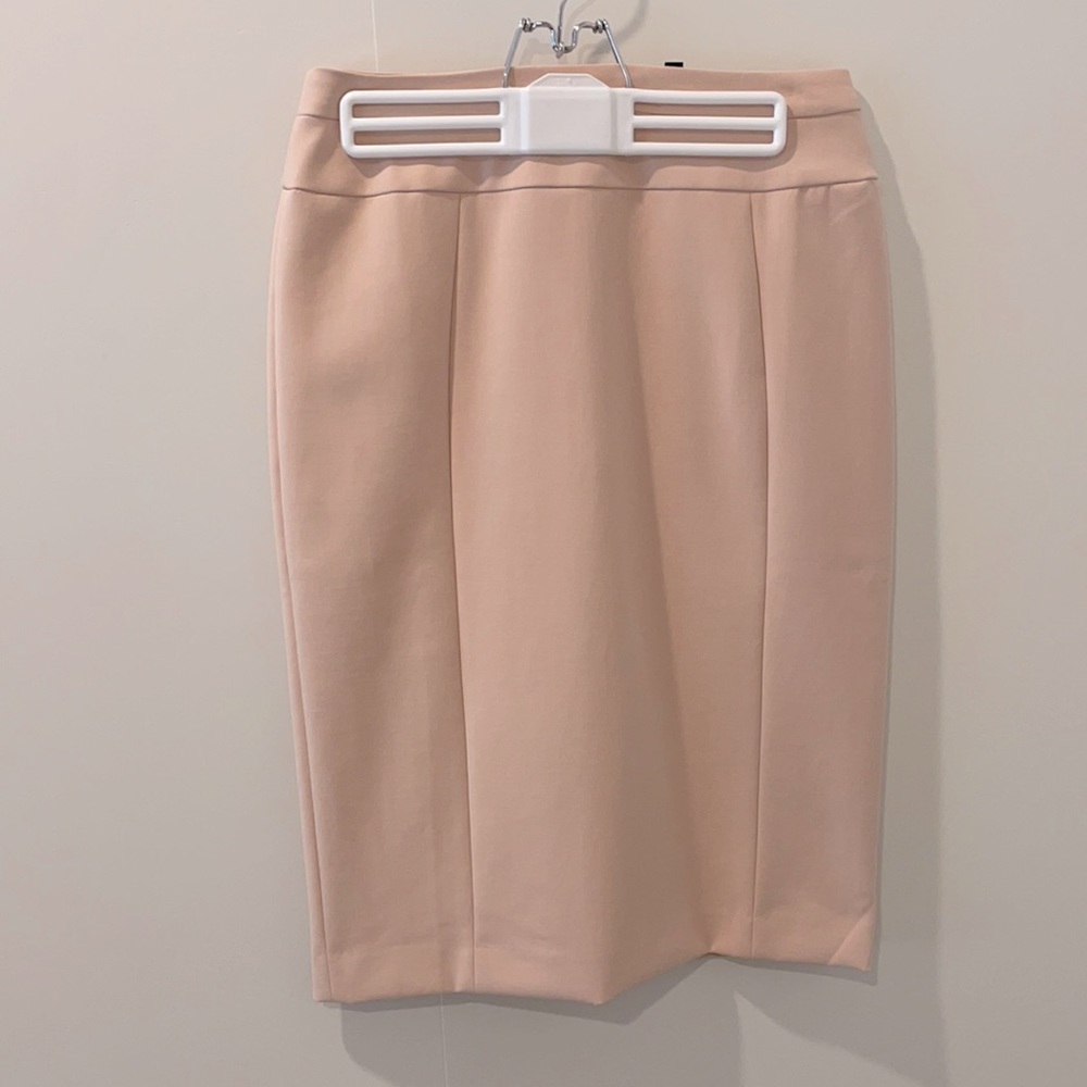 Blush NWOT pencil skirt